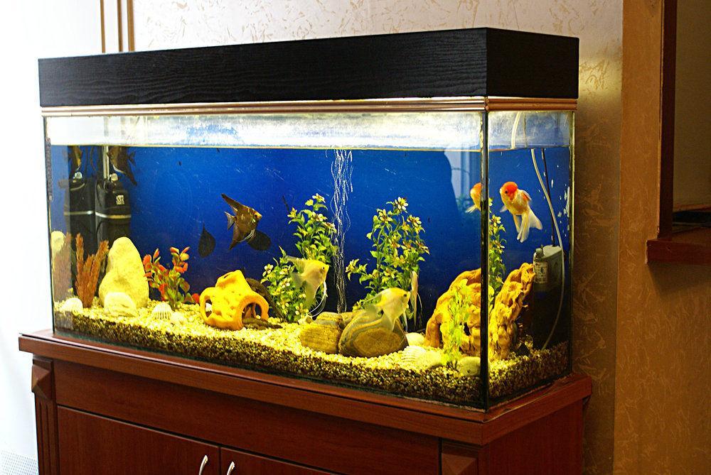 Hotell Irina Riga
